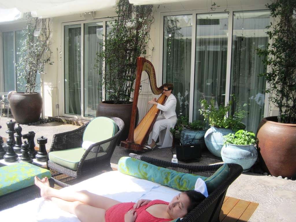 The Elegant Harp | 7030 Half Moon Cir #219, Hypoluxo, FL 33462, USA | Phone: (561) 702-4277