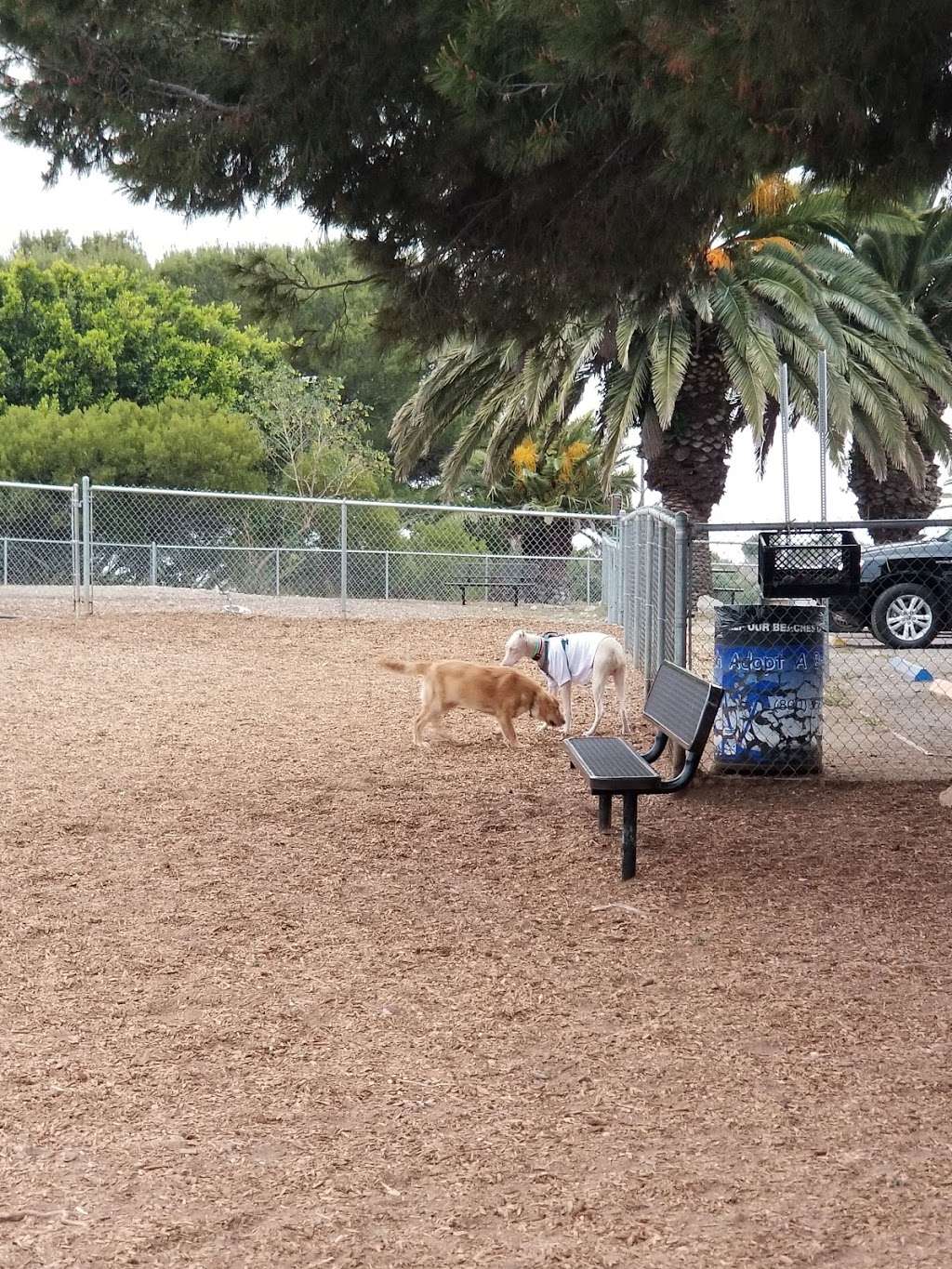 Rancho Caninos Dog Park | 30940 Hawthorne Blvd, Rancho Palos Verdes, CA 90275, USA | Phone: (310) 544-5260