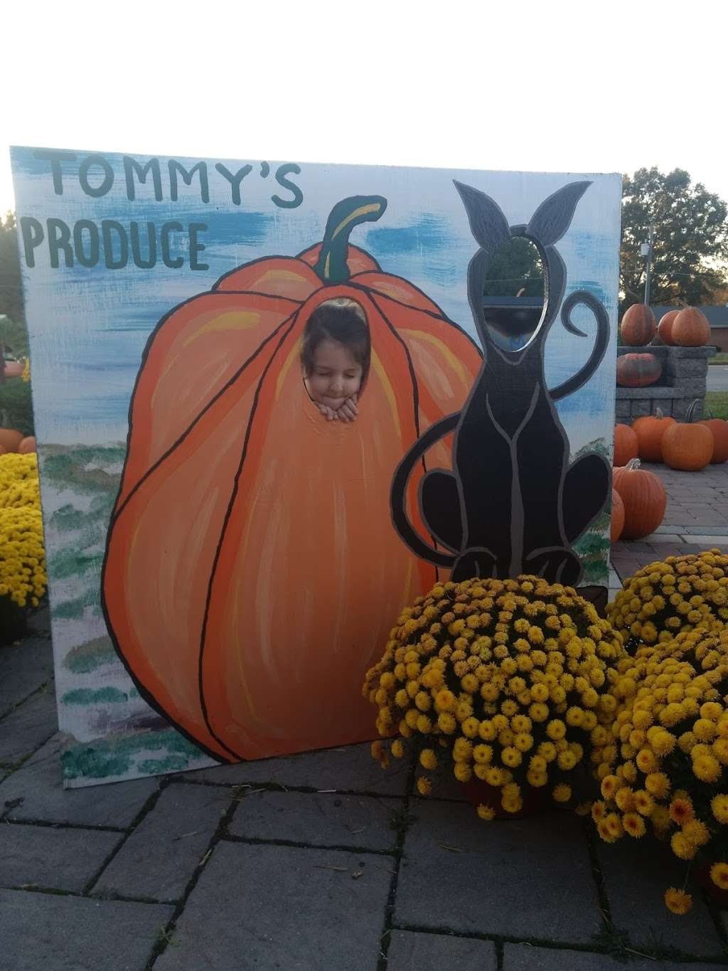 Tommys Produce | 140 Sharon Rd, King William, VA 23086, USA | Phone: (804) 769-9066