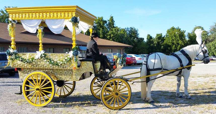 Dianas Wedding Horses | 3430 W Watersville Rd, Mt Airy, MD 21771 | Phone: (301) 829-5048