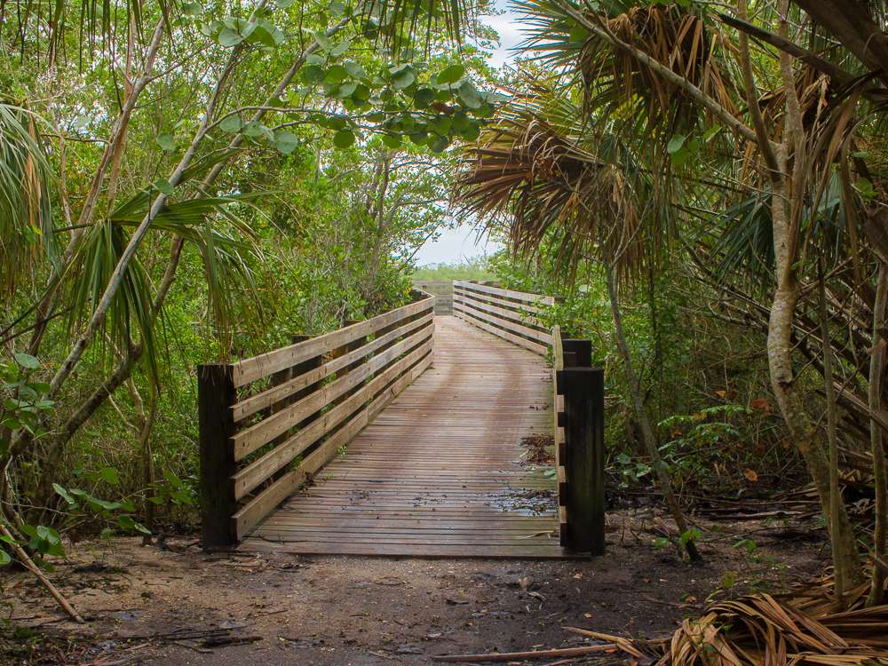 Peck Lake Park | 8108 SE Gomez Ave, Hobe Sound, FL 33455, USA | Phone: (772) 288-5400