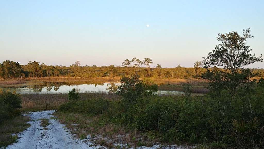 Lake Marion Creek Wildlife Management Area | Eileen Lake Blvd, Haines City, FL 33844, USA | Phone: (863) 648-3200