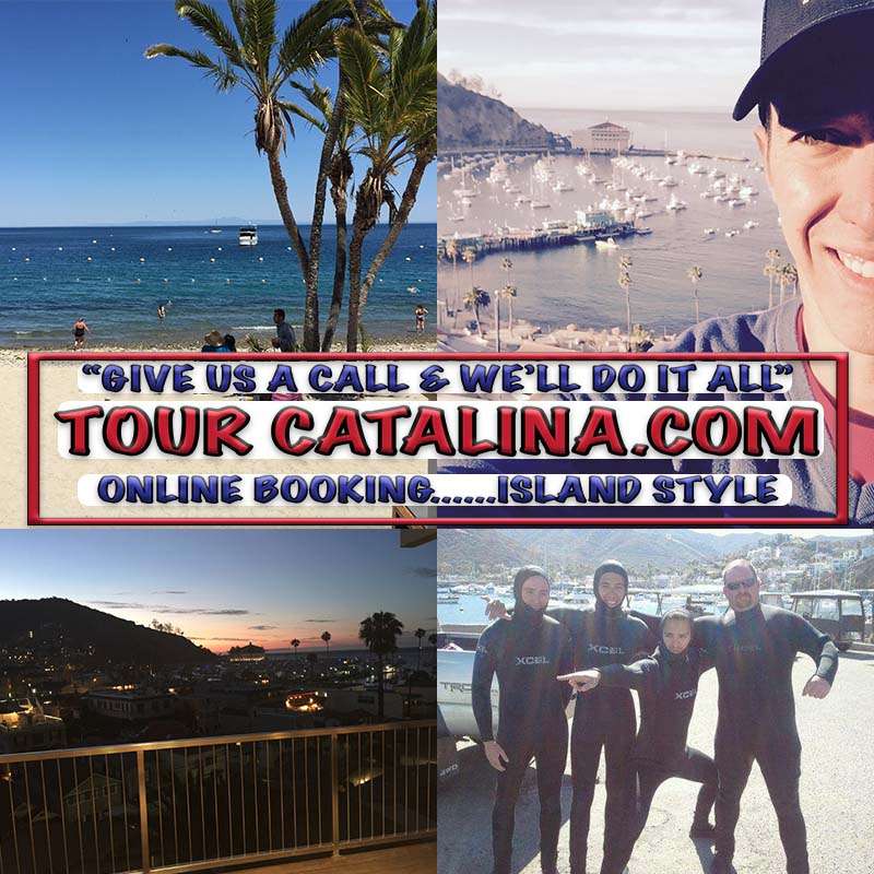 Tour Catalina Water Tours | 228 Metropole Ave, Avalon, CA 90704, USA | Phone: (310) 510-0036