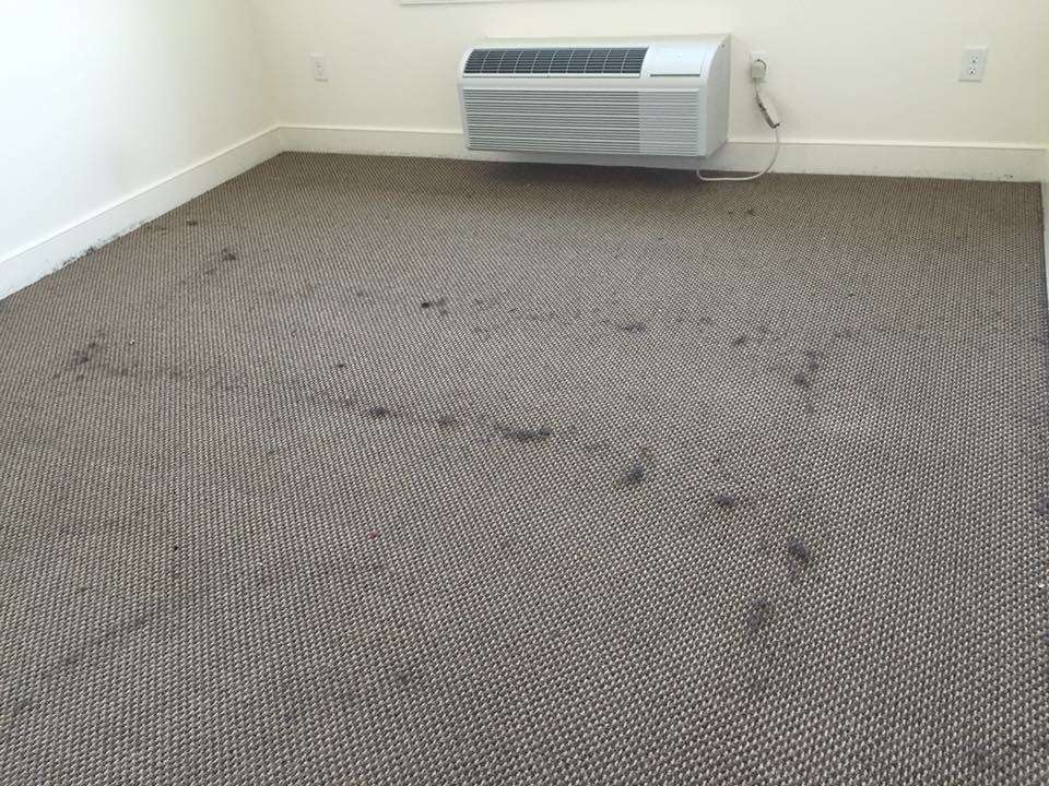 Carpet Cleaning Lehigh Valley | 250 Pine Valley Terrace, Easton, PA 18042, USA | Phone: (484) 212-0950