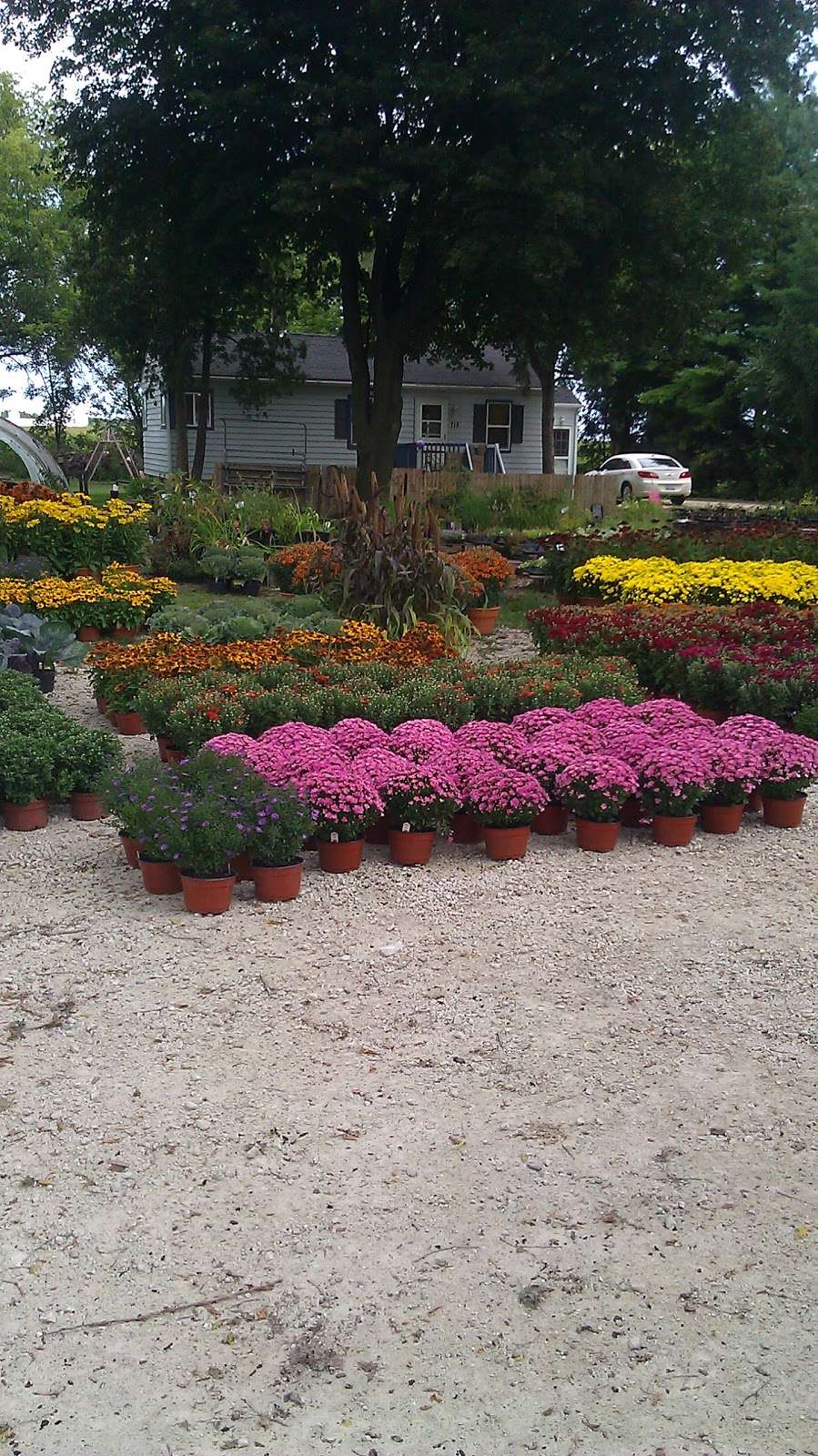 Kleins Farm & Garden Market | 38W716 Hwy 20, Elgin, IL 60124 | Phone: (847) 697-4910