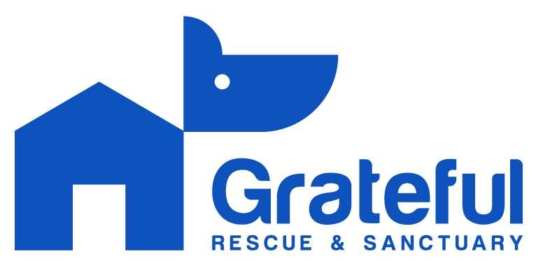 Grateful Rescue & Sanctuary | 4220 N County Rd 500 W, Muncie, IN 47304, USA | Phone: (844) 727-3255