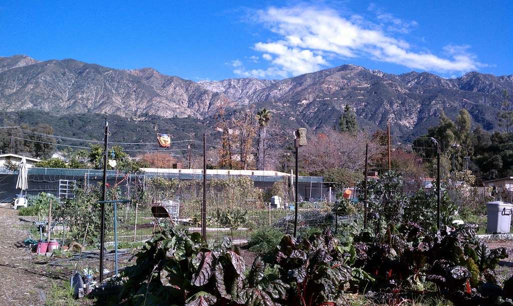 Altadena Community Garden | 3330 N Lincoln Ave, Altadena, CA 91001, USA