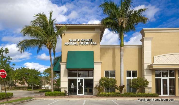 South Shore Animal Hospital | 12160 S Shore Blvd, Wellington, FL 33414, USA | Phone: (561) 296-7724