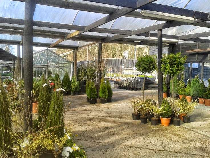 Watton Nursery | Ware Rd, Watton at Stone, Hertford SG14 3RA, UK | Phone: 01920 830944