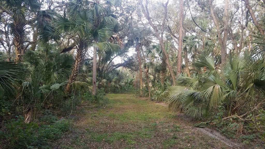 Apopka North Shore Red Trail Loop | 24779 County Rd 448A, Mt Dora, FL 32757, USA | Phone: (800) 451-7106