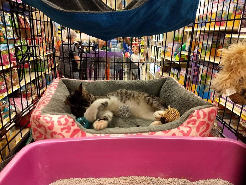 PetSmart | 310 E Brannon Rd, Nicholasville, KY 40356, USA | Phone: (859) 271-8170