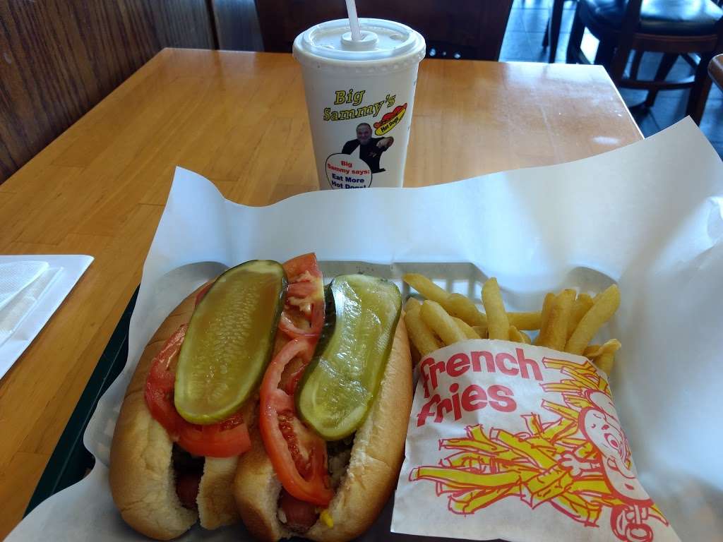 Big Sammys Hot Dogs | 132 Biesterfield Rd, Elk Grove Village, IL 60007, USA | Phone: (847) 806-1114