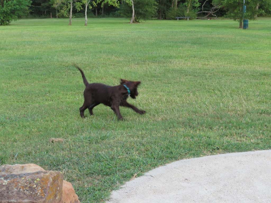 La Porte Dog Park | La Porte, TX 77571, USA