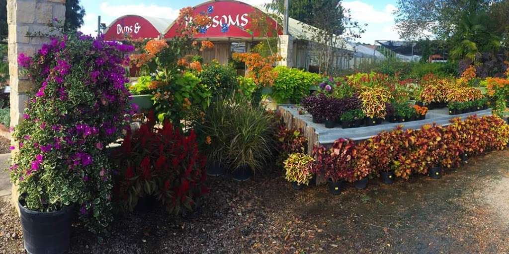 Buds & Blossoms Garden Center | 14120 Cypress North Houston Rd, Cypress, TX 77429, USA | Phone: (281) 469-3378