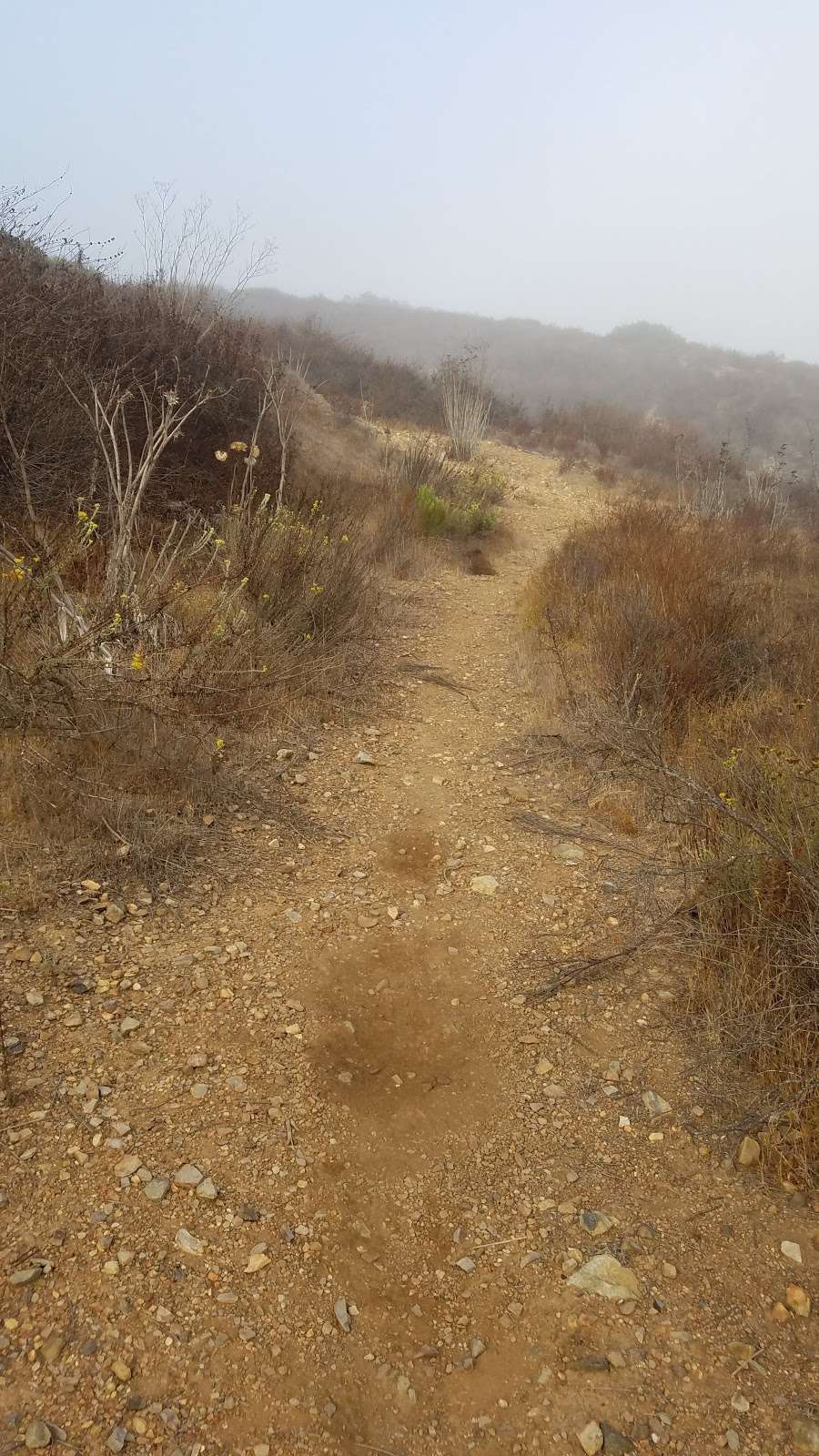 Miners Ridge Loop Trail | Black Mountain Hike, San Diego, CA 92129, USA | Phone: (858) 538-8082