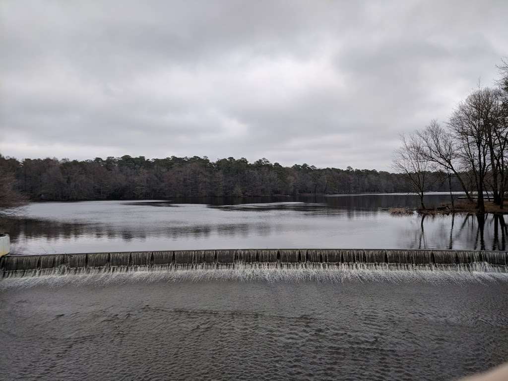 Trap Pond State Park | 33587 Baldcypress Lane, Laurel, DE 19956, USA | Phone: (302) 875-5153