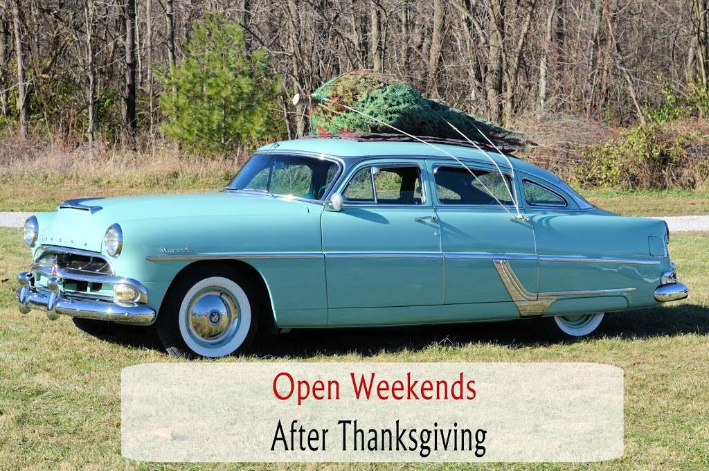 Cruise In Trees Christmas Tree Farm | 4715 S 400 E, Cutler, IN 46920, USA | Phone: (765) 566-2350