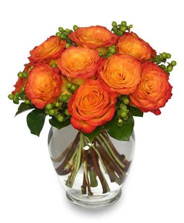 Belleview Florist Inc | 10693 SE 58th Ave, Belleview, FL 34420, United States | Phone: (352) 245-3857