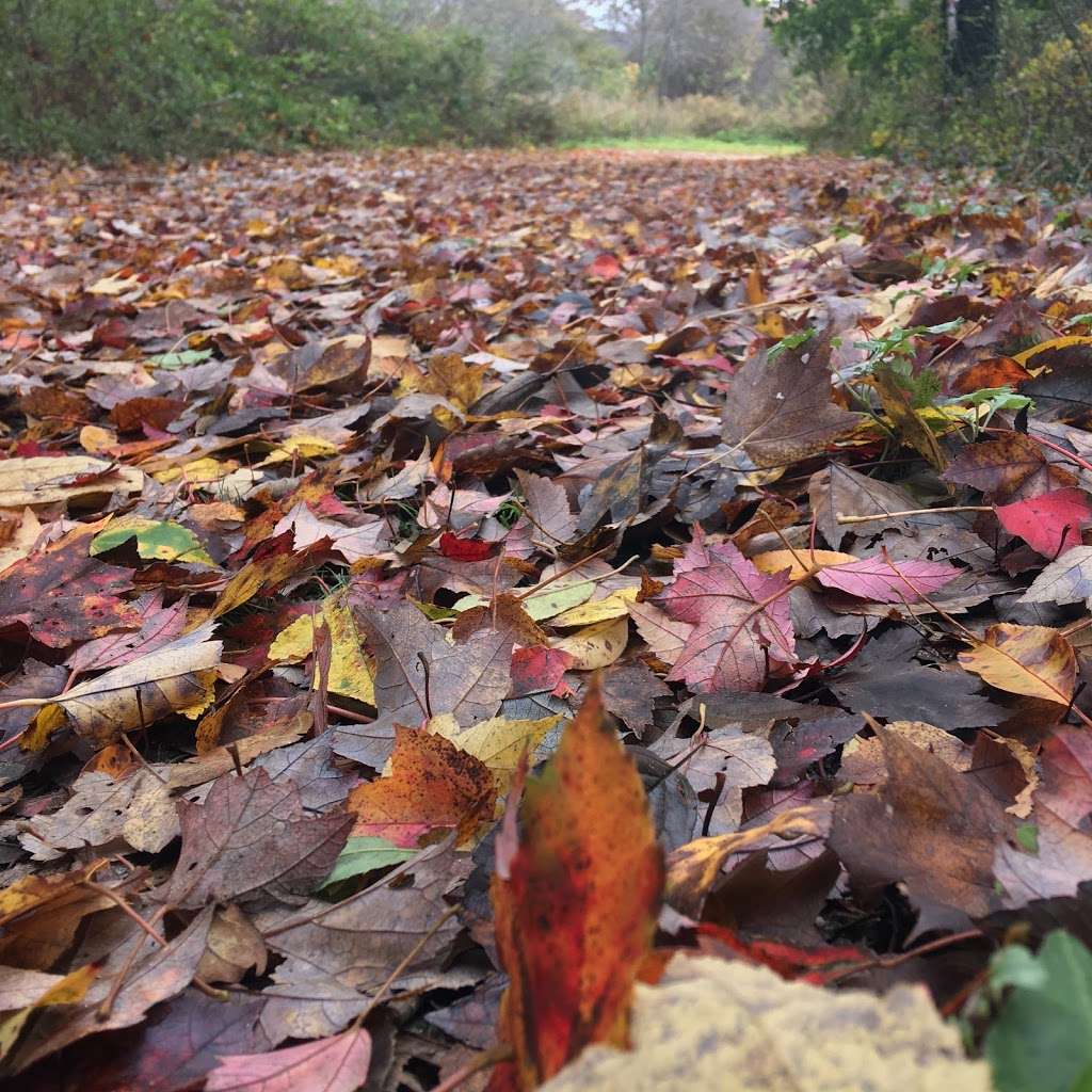 Massapequa Preserve | Oyster Bay, NY