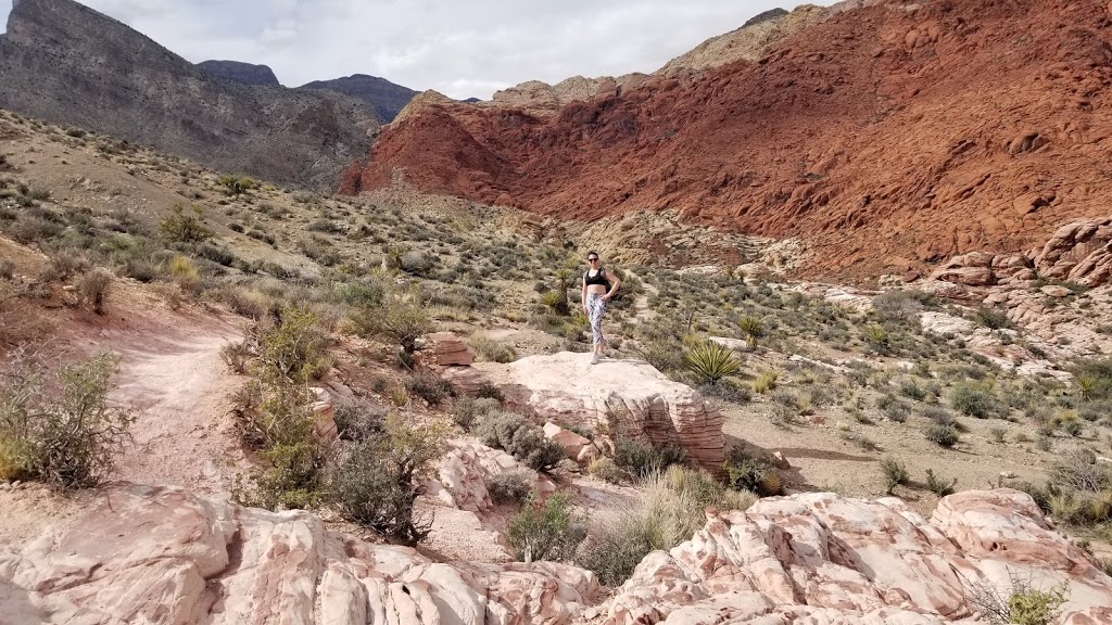 Pink Goblin Pass | Hell Hill Trail, Las Vegas, NV 89161