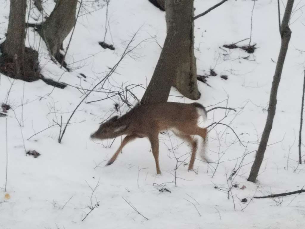 Henry Ingraham Nature Preserve | Waterside Rd, Fort Salonga, NY 11768, USA | Phone: (631) 351-3000