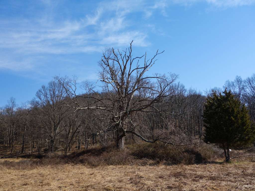 Appalachian Trail Parking | Elk Pen, Southfields, NY 10975, USA
