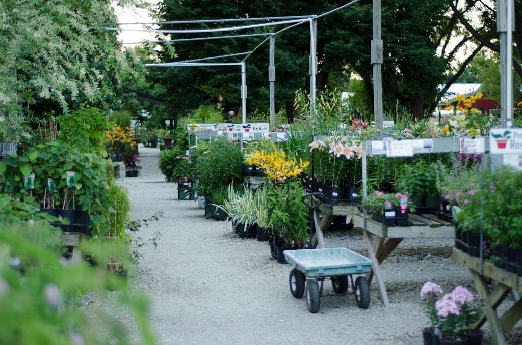 The Growing Place Garden Center | 2000 Montgomery Rd, Aurora, IL 60504, USA | Phone: (630) 820-8088