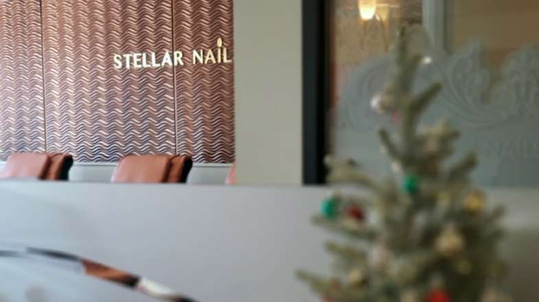 Stellar Nails | 31 Park St, Demarest, NJ 07627, USA | Phone: (201) 767-7708