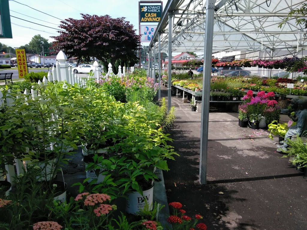 Stephenson Garden Center & Nursery | 8136 Dixie Hwy, Louisville, KY 40258, USA | Phone: (502) 935-0353