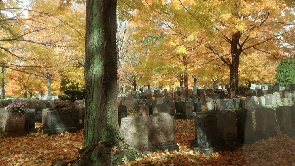 Cedar Grove Cemetery | 920 Adams St, Dorchester Center, MA 02124, USA | Phone: (617) 825-1360