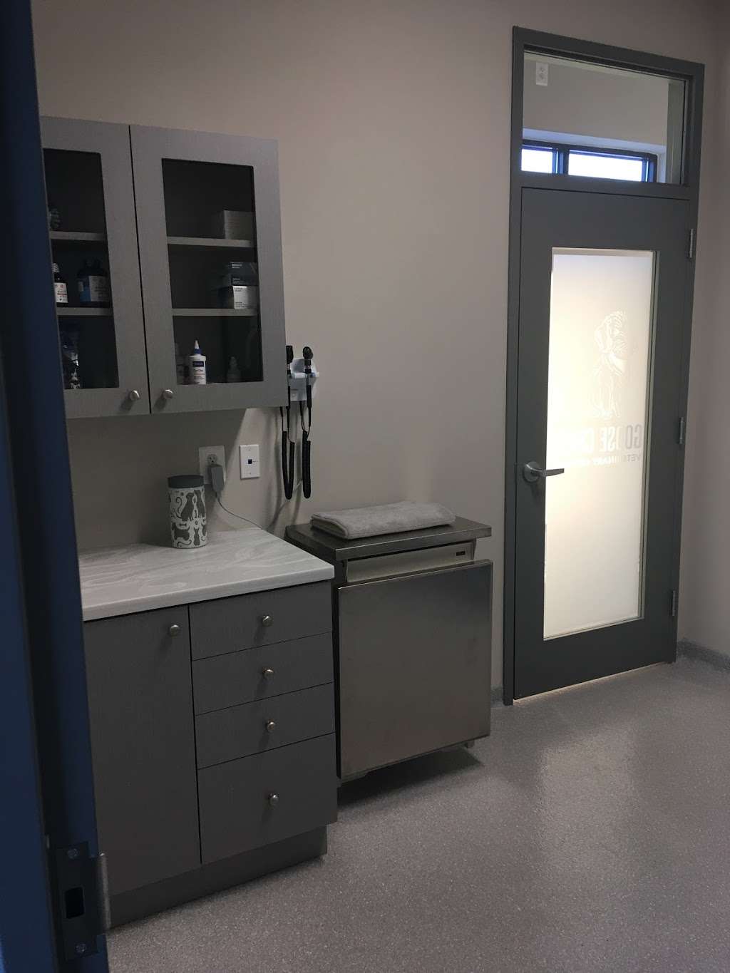 Goose Creek Veterinary Hospital | 42755 Creek View Plaza, Ashburn, VA 20147, USA | Phone: (571) 291-9110