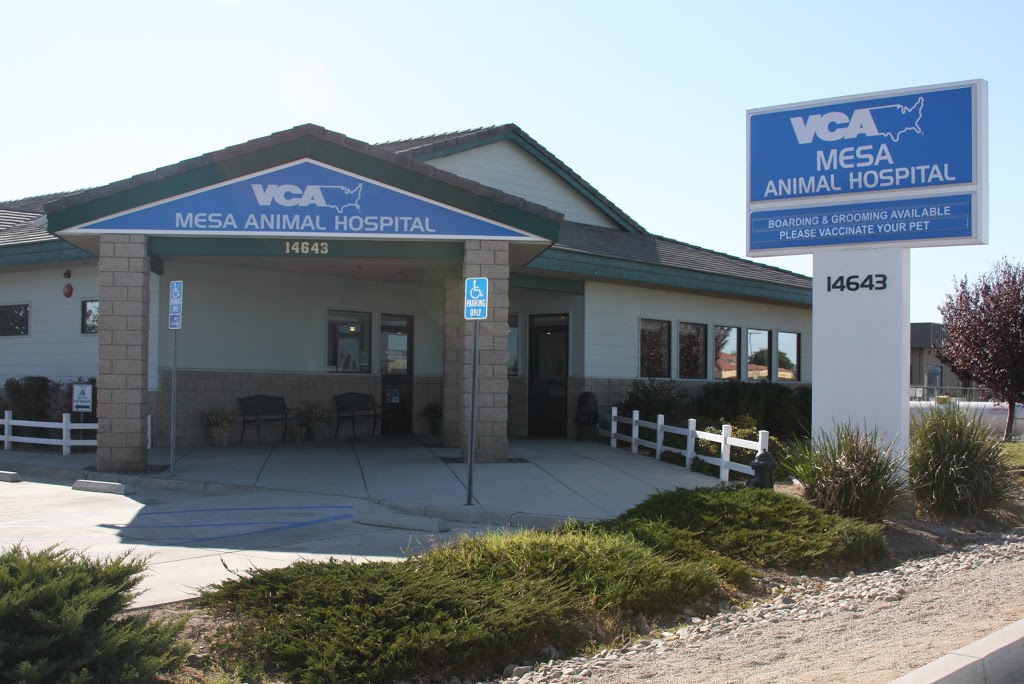 VCA Mesa Animal Hospital | 14643 Palmdale Rd, Victorville, CA 92392, USA | Phone: (760) 245-0109