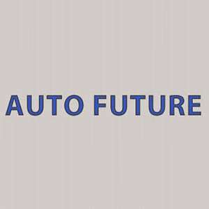 auto future inc 183 w 162nd st south holland il 60473 usa businessyab