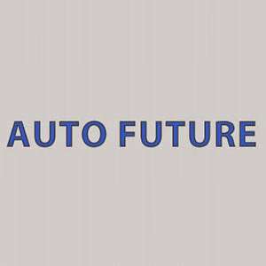 Auto Future Inc | 183 W 162nd St, South Holland, IL 60473, USA | Phone: (815) 806-0700