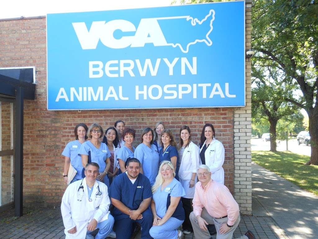 VCA Berwyn Animal Hospital | 2845 S Harlem Ave, Berwyn, IL 60402, USA | Phone: (708) 749-4200