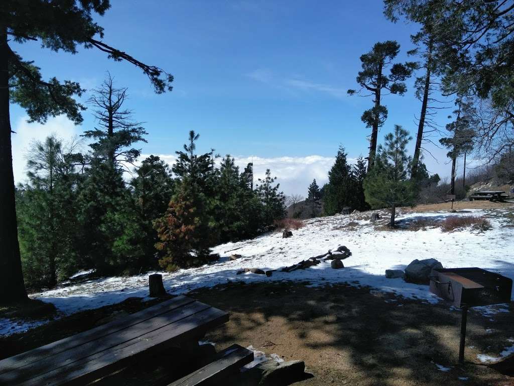 Crest Park Picnic Area | Lower Crest Rd, Crest Park, CA 92326, USA | Phone: (909) 382-2600