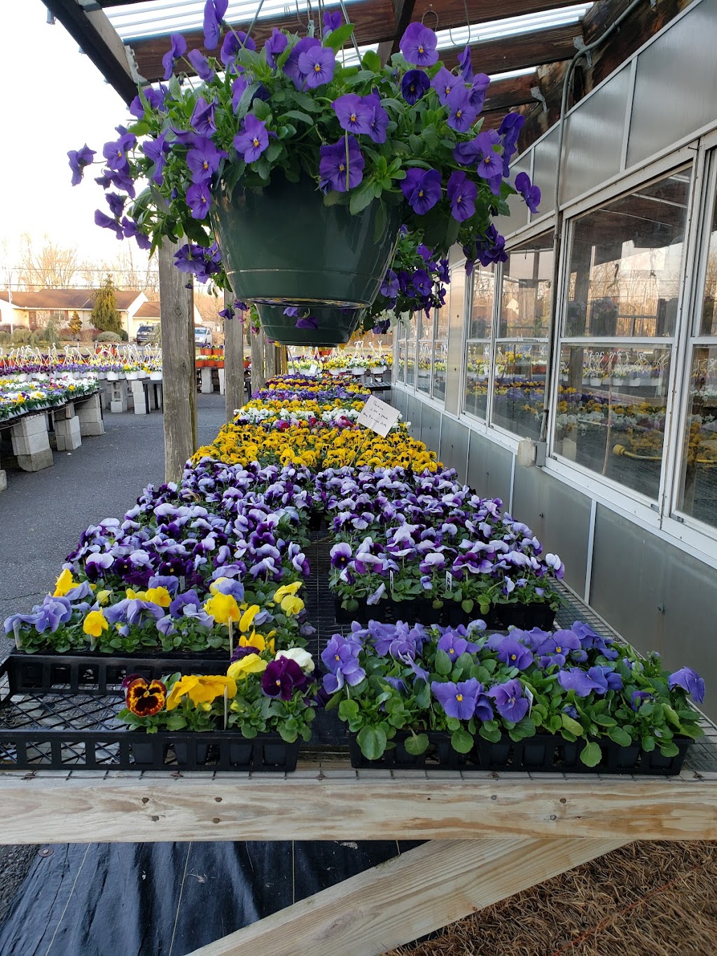 Tonys Farm & Garden Center | 1369 US-130, Windsor, NJ 08561, USA | Phone: (609) 448-0667