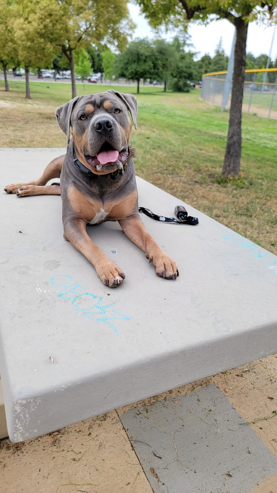 SEPULVEDA BASIN SPORTS COMPLEX | 6201 Balboa Blvd, Van Nuys, CA 91406, USA | Phone: (818) 756-9642