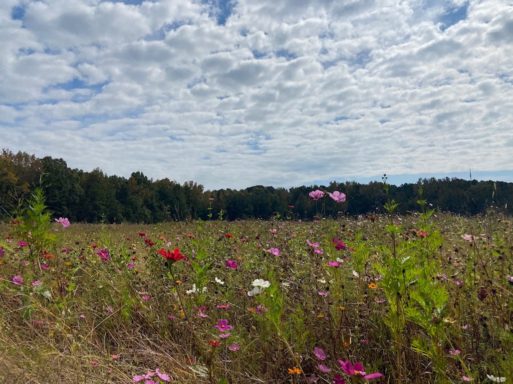 Thornton Road Greenway Trail Access and Parking | 6100 Thornton Rd, Raleigh, NC 27616, USA | Phone: (914) 271-5866