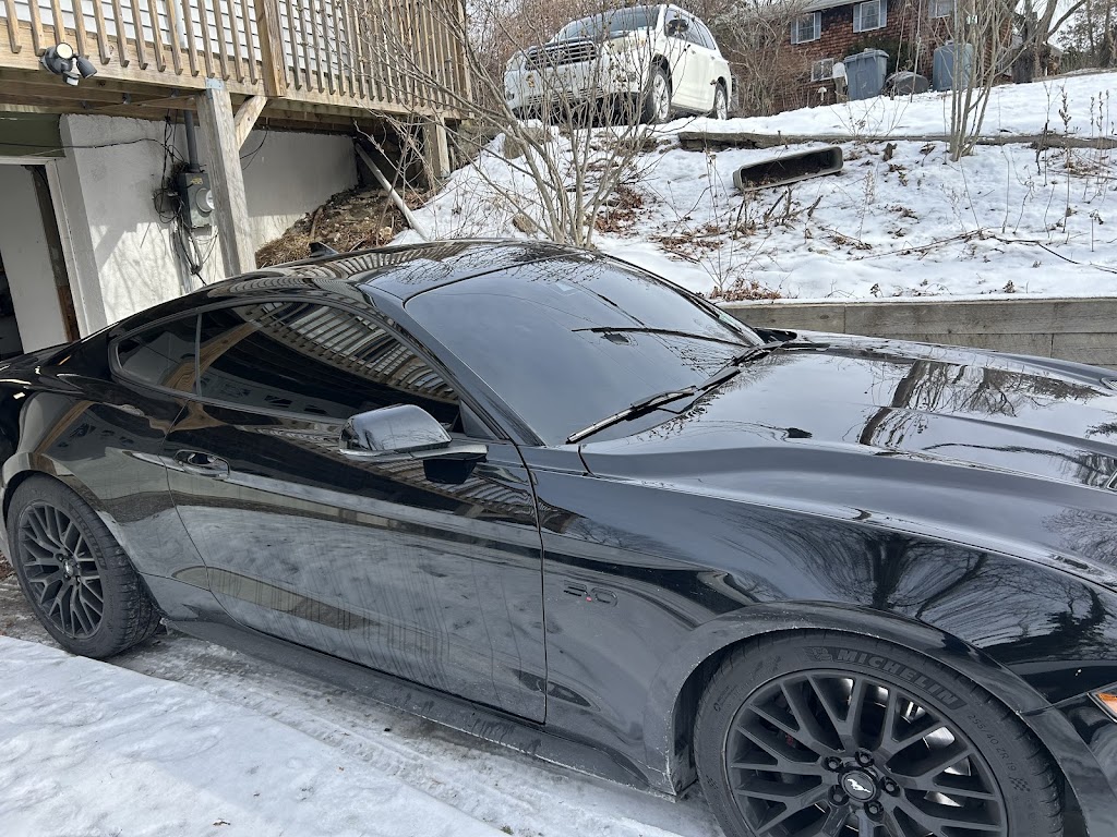 MEYA window tinting | 29 Lincoln Dr, Carmel Hamlet, NY 10512, USA | Phone: (845) 283-8704