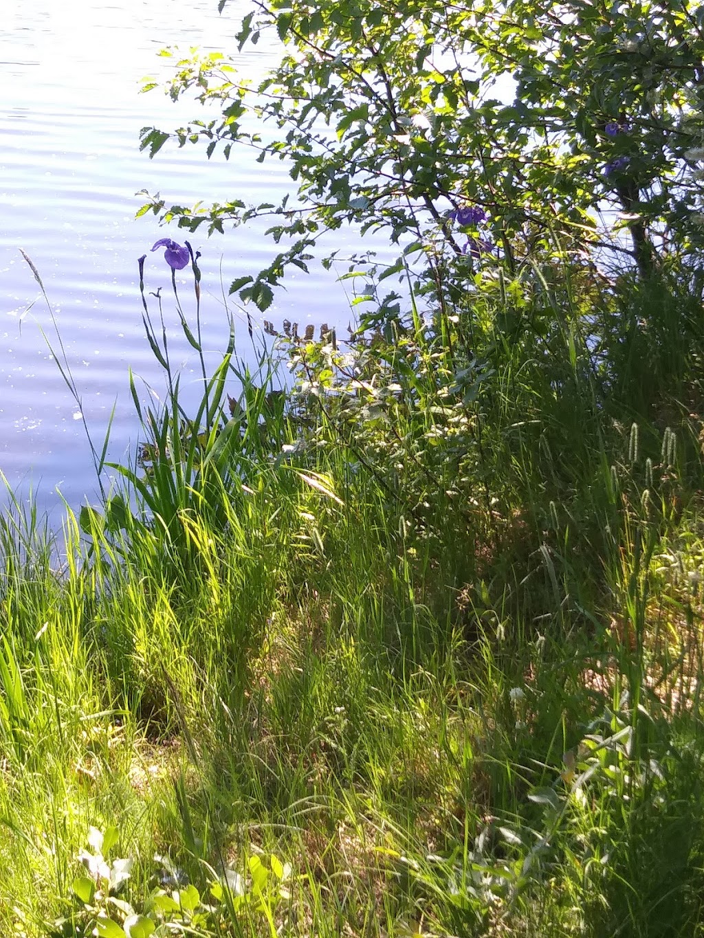 Meadow Lakes Christian Center | 1040 Pittman Rd, Wasilla, AK 99623, USA | Phone: (907) 357-8085