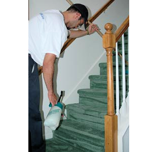 Pro Clean Cleaning & Restoration | 1333 Azalea Garden Rd suite b, Norfolk, VA 23502, USA | Phone: (757) 304-8882