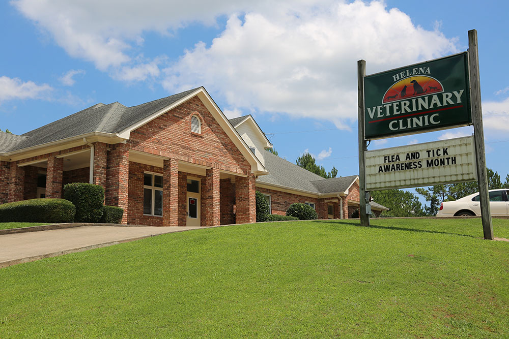 Helena Veterinary Clinic | 1888 Co Rd 95, Helena, AL 35080, USA | Phone: (205) 621-2021