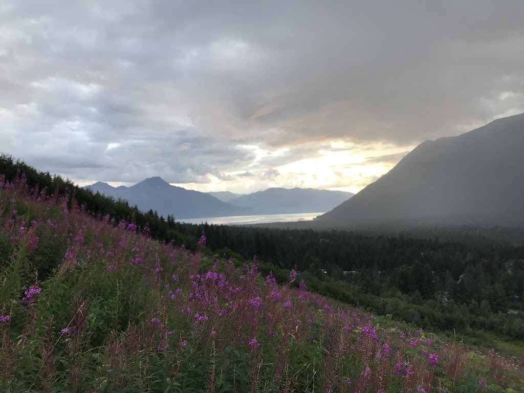 Girdwood Summer Sled Dog Adventure | 36511 Seward Hwy Suite 7, Girdwood, AK 99587, USA | Phone: (877) 783-5566