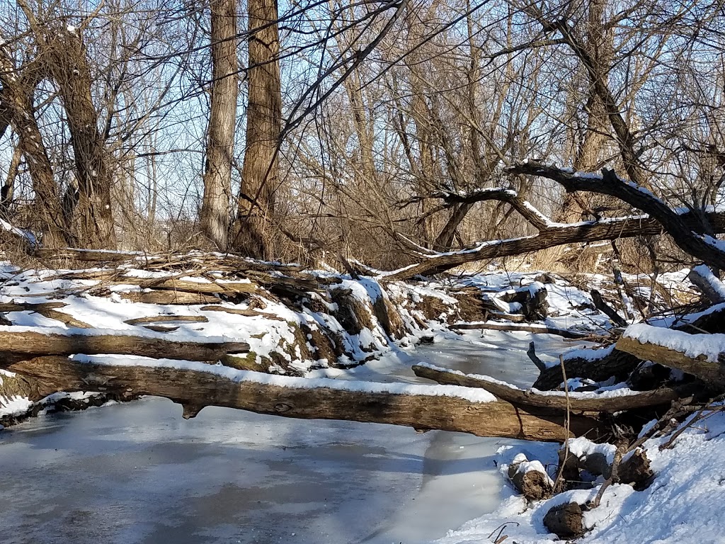 Pheasant Branch Conservancy | 4864 Pheasant Branch Rd, Middleton, WI 53562, USA | Phone: (608) 224-3730