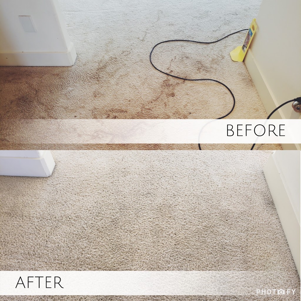 Rogers Carpet Cleaning | 241 W Island View Ave, Port Townsend, WA 98368, USA | Phone: (360) 385-9303