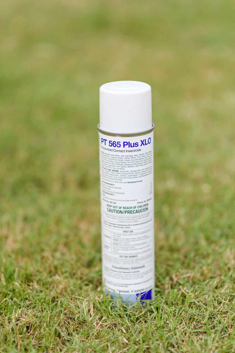 Alpha Pest Solutions LLC | 94 Kings Point Ave, Smithfield, VA 23430, USA | Phone: (757) 873-4999