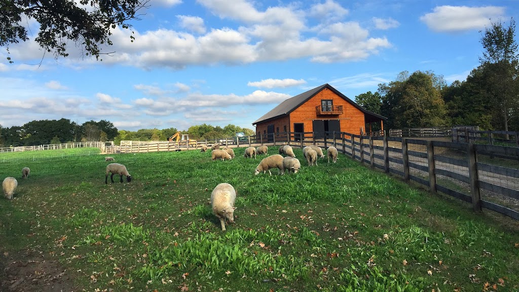 Robin Hills Farm | 20390 M-52, Chelsea, MI 48118, USA | Phone: (248) 246-0532