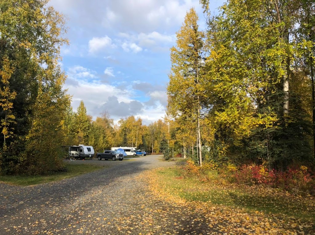 Susitna Landing Campground Reservations | 14400 Susitna Landing Rd, Willow, AK 99688, USA | Phone: (907) 495-7700