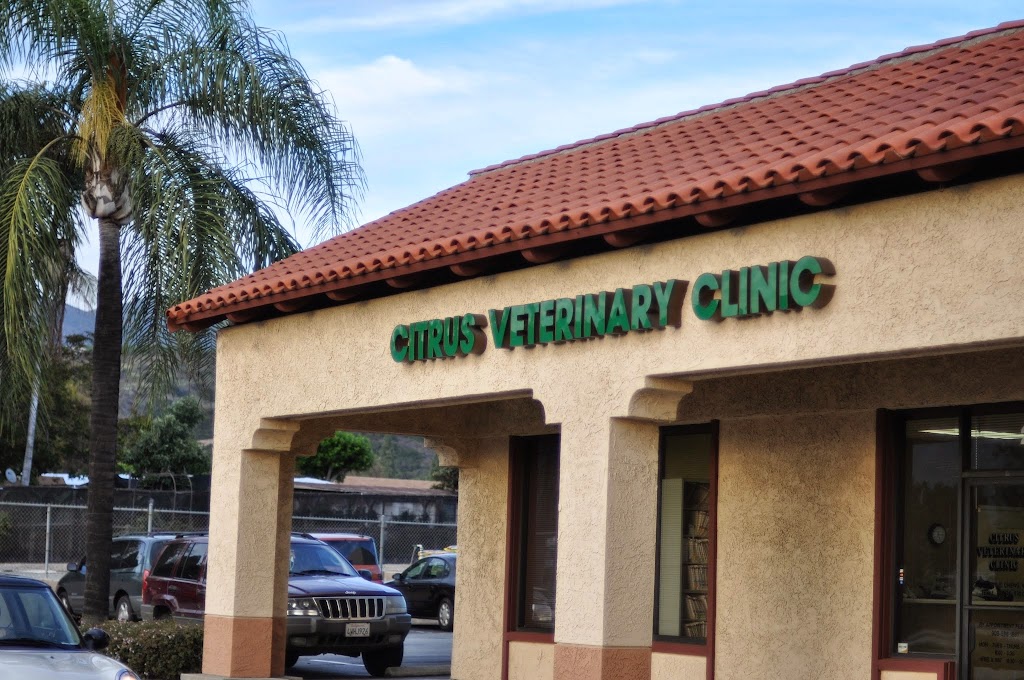 Citrus Veterinary Clinic | 2317 Foothill Blvd, La Verne, CA 91750, USA | Phone: (909) 596-1881